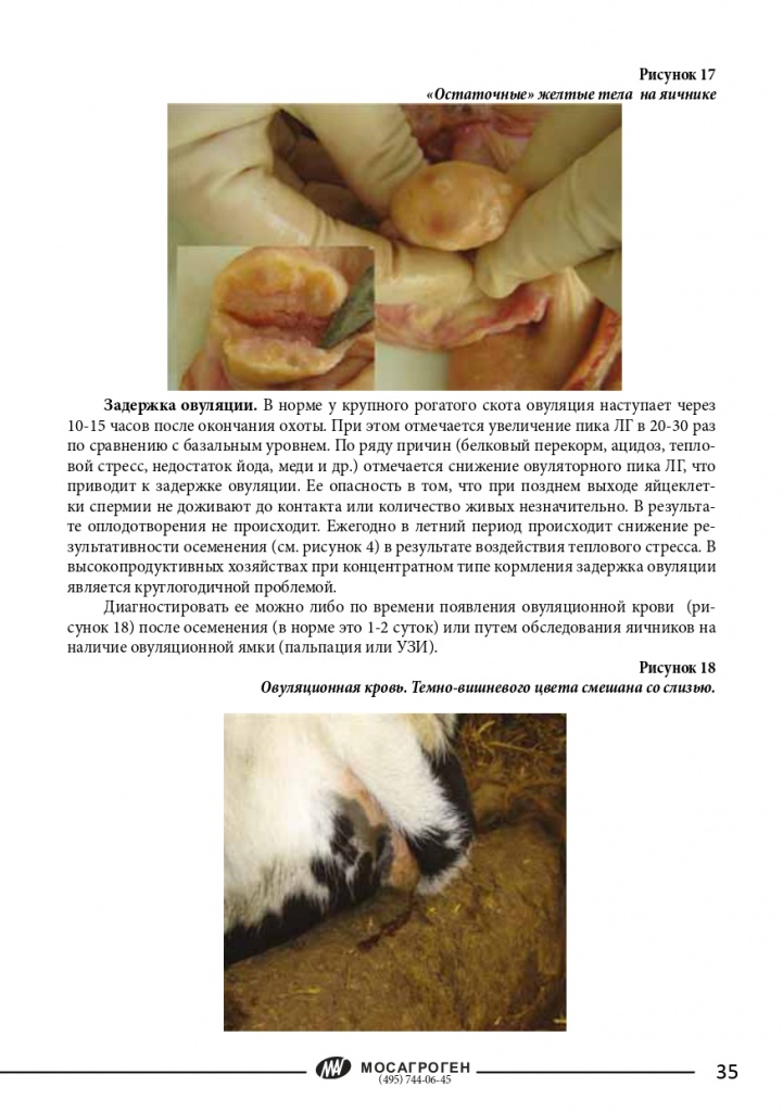 Управление воспроизводством в молочном животноводстве_page-0036.jpg